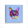 Gato Colors