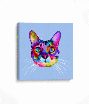 Gato Colors