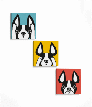 Boston Colors (3PIEZAS)