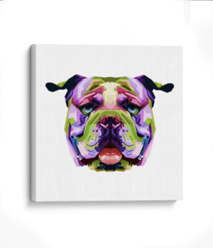 American bully colors