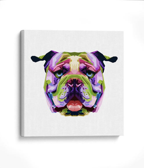 American bully colors