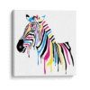 Zebra colors