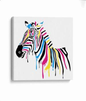 Zebra colors