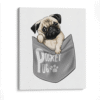 Pug de bolsillo caricatura