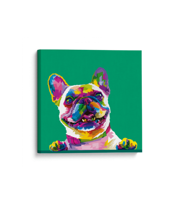 Bull Dog Frances Colors