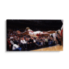 Dennis Rodman fly