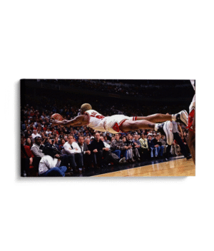 Dennis Rodman fly
