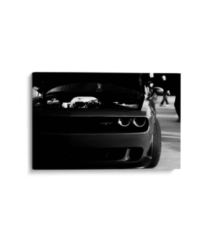 Auto SRT
