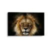 Mirada de Leon-Matthew Stephenson