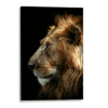 Perfil de León-Matthew-Stephenson