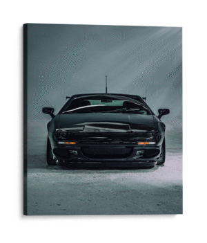 Lotus negro