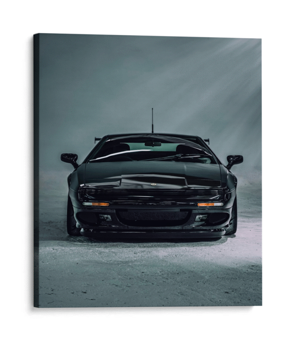 Lotus negro