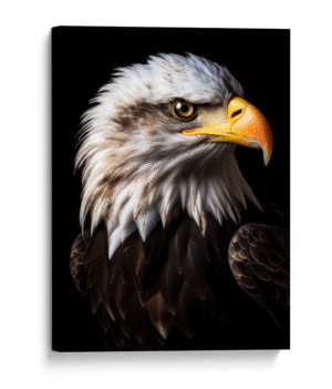 Águila americana