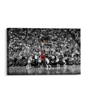 The last shot MJ