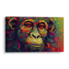 Monkey colors
